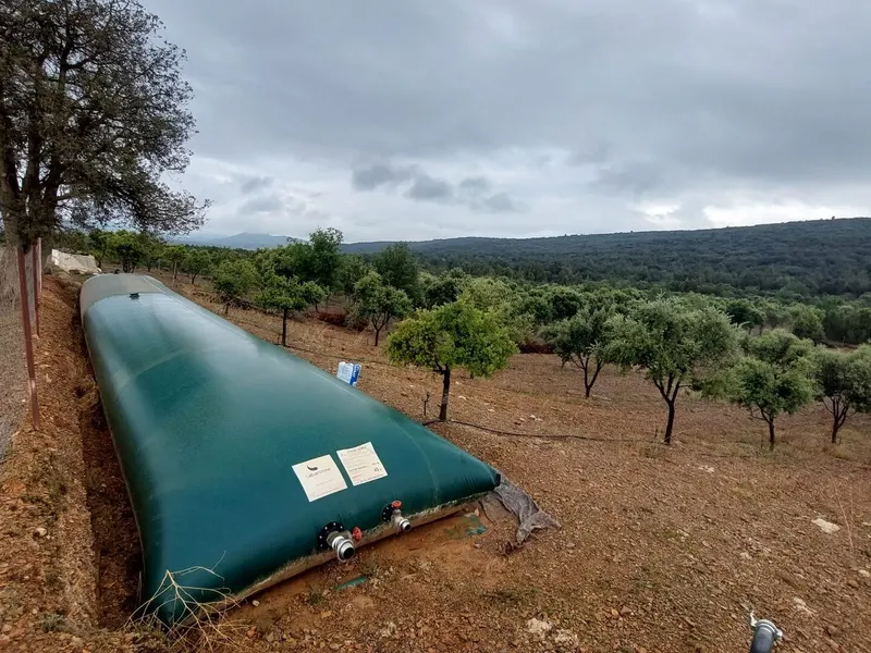 Depósito flexible para agua de riego instalado en una terraza entre olivos en ladera